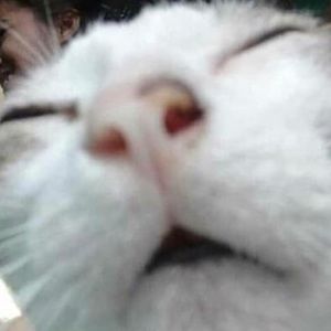 Meet your Posher, Jacob